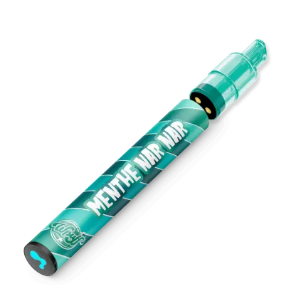 Liquideo Wpuff 800 2.0 kit - Menthe Nar Nar